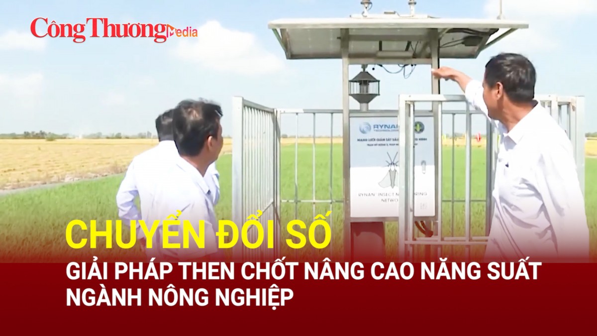 Chuyển đổi số: Giải pháp then chốt nâng cao năng suất ngành nông nghiệp