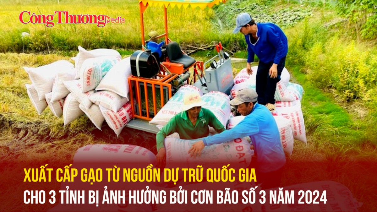 Xuất cấp gạo từ nguồn dự trữ quốc gia cho 3 tỉnh bị ảnh hưởng bởi cơn bão số 3 năm 2024