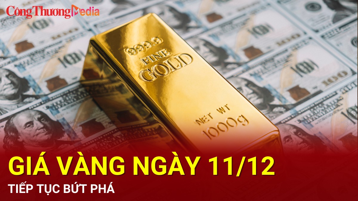 Giá vàng hôm nay 11/12/2024: Tiếp tục bứt phá