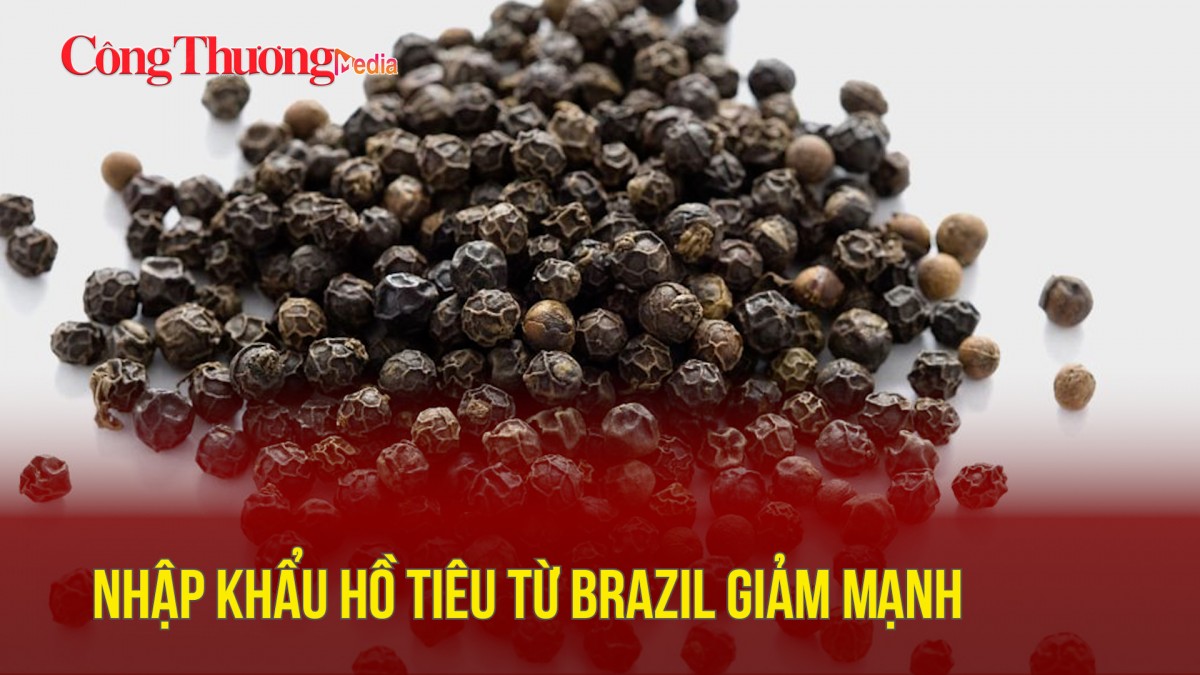 Nhập khẩu hồ tiêu từ Brazil giảm mạnh