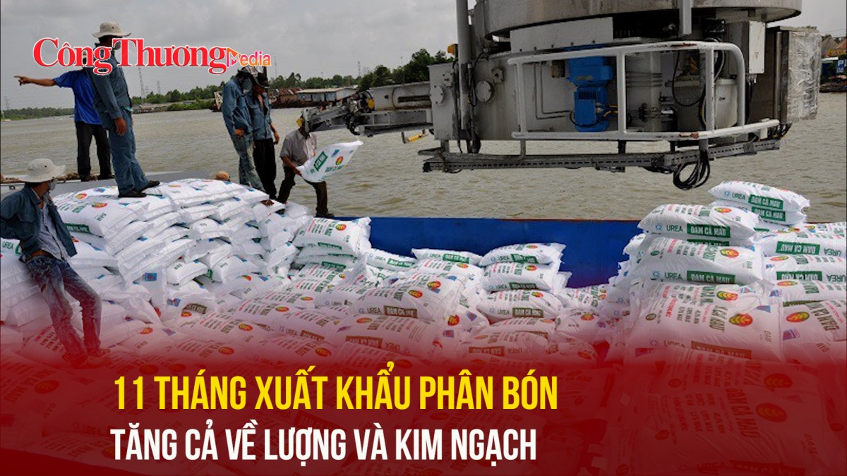 11 tháng xuất khẩu phân bón tăng cả về lượng và kim ngạch