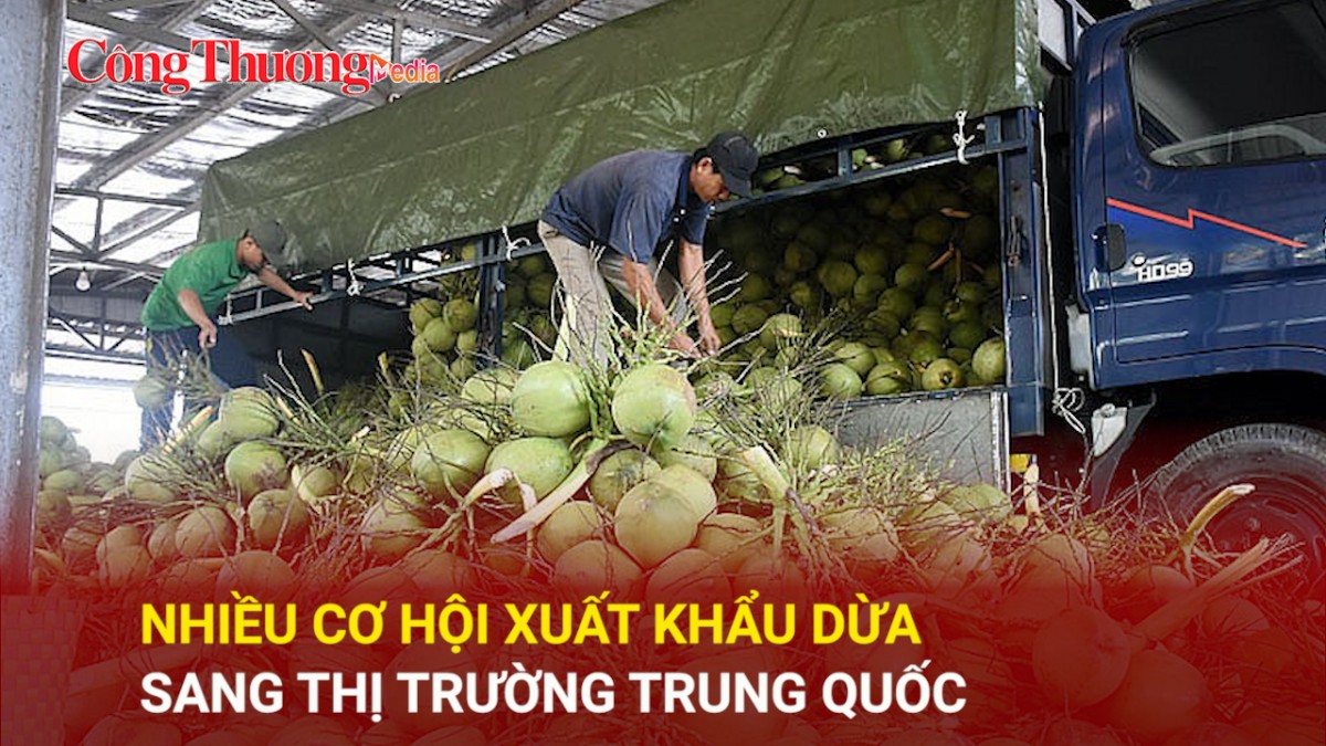 Nhiều cơ hội xuất khẩu dừa sang thị trường Trung Quốc