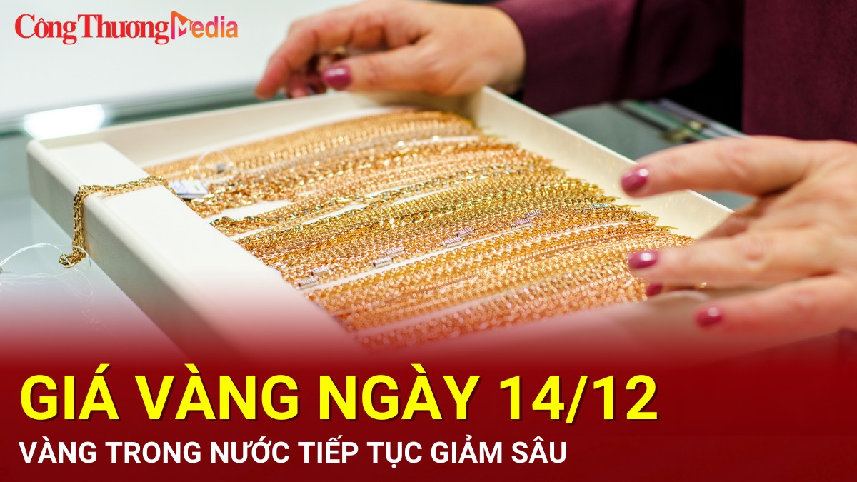 Giá vàng hôm nay 14/12/2024: Vàng trong nước tiếp tục giảm sâu