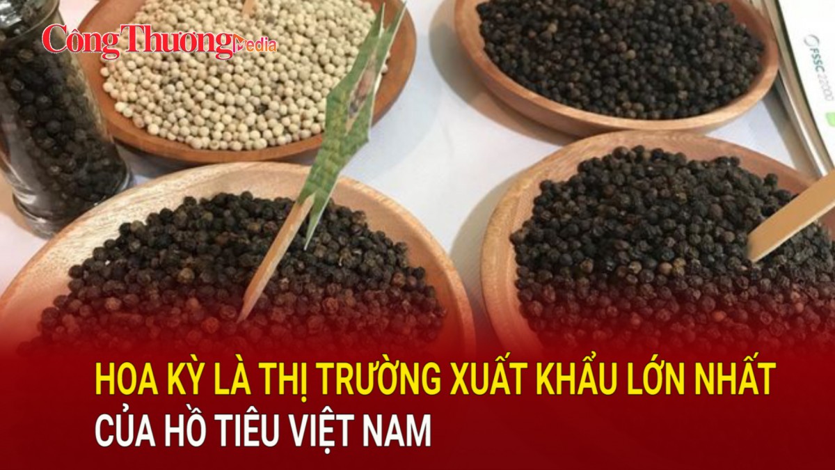 Hoa Kỳ là thị trường xuất khẩu lớn nhất của hồ tiêu Việt Nam