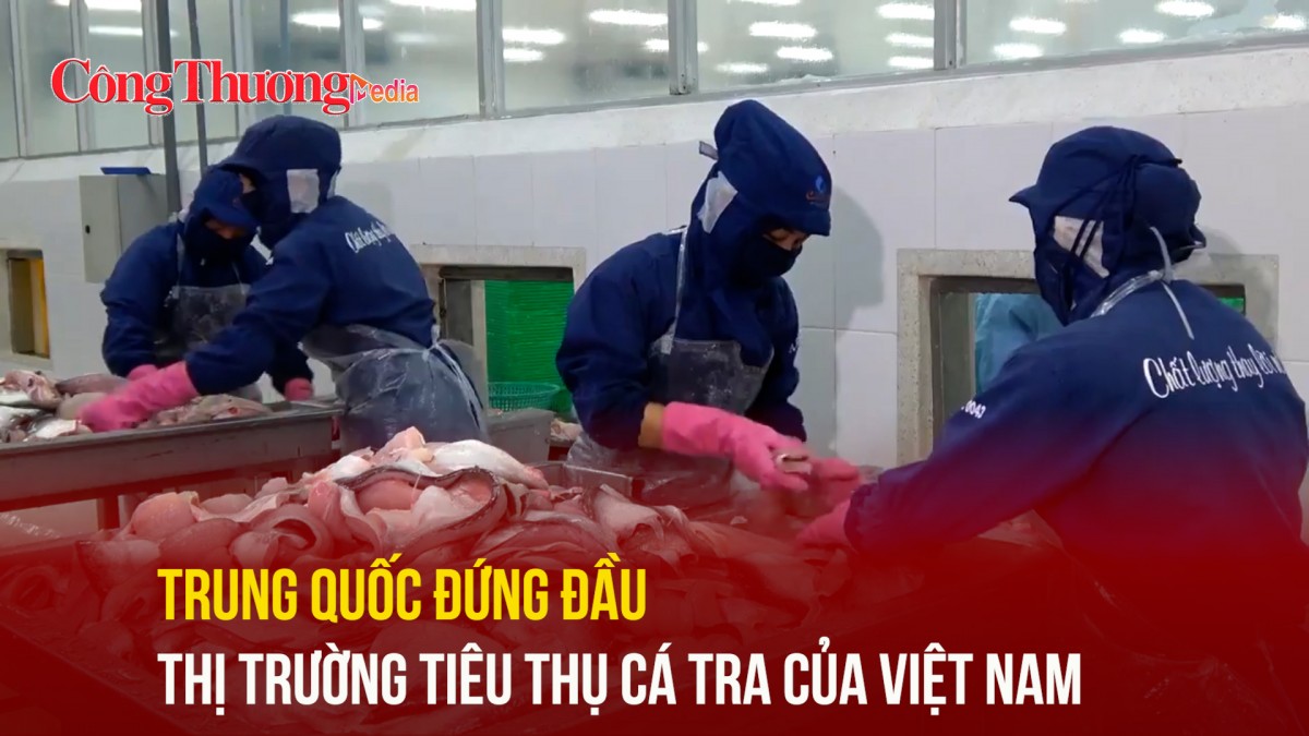 Trung Quốc đứng đầu thị trường tiêu thụ cá tra của Việt Nam