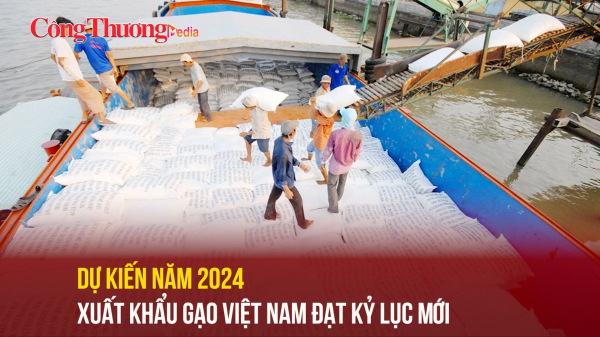 Dự kiến năm 2024 xuất khẩu gạo Việt Nam đạt kỷ lục mới