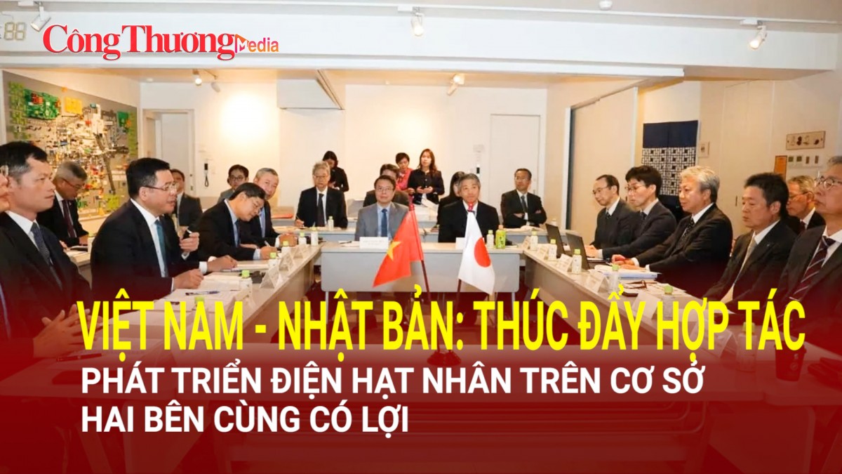 Việt Nam - Nhật Bản: Thúc đẩy hợp tác phát triển điện hạt nhân trên cơ sở hai bên cùng có lợi