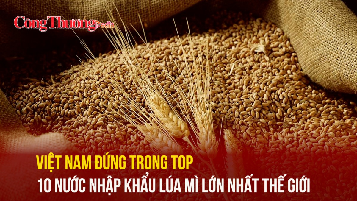 Việt Nam đứng trong top 10 nước nhập khẩu lúa mì lớn nhất thế giới