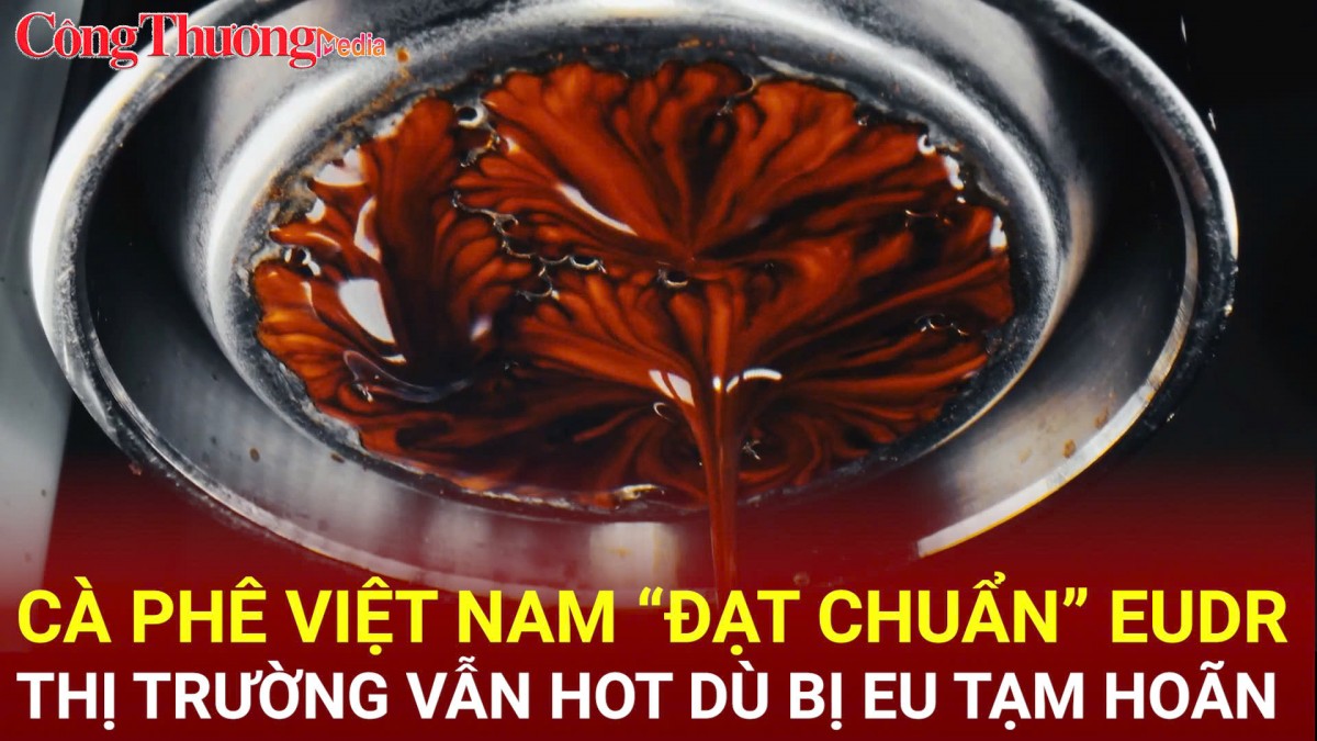 Cà phê Việt Nam 'đạt chuẩn' EUDR, thị trường vẫn hot dù bị EU tạm hoãn