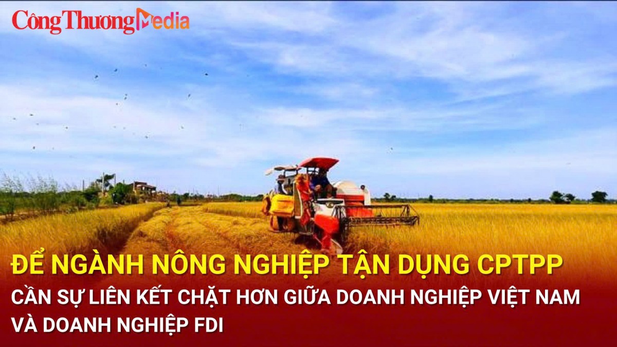 Để ngành nông nghiệp tận dụng CPTPP: Cần sự liên kết chặt hơn giữa doanh nghiệp Việt Nam và doanh nghiệp FDI