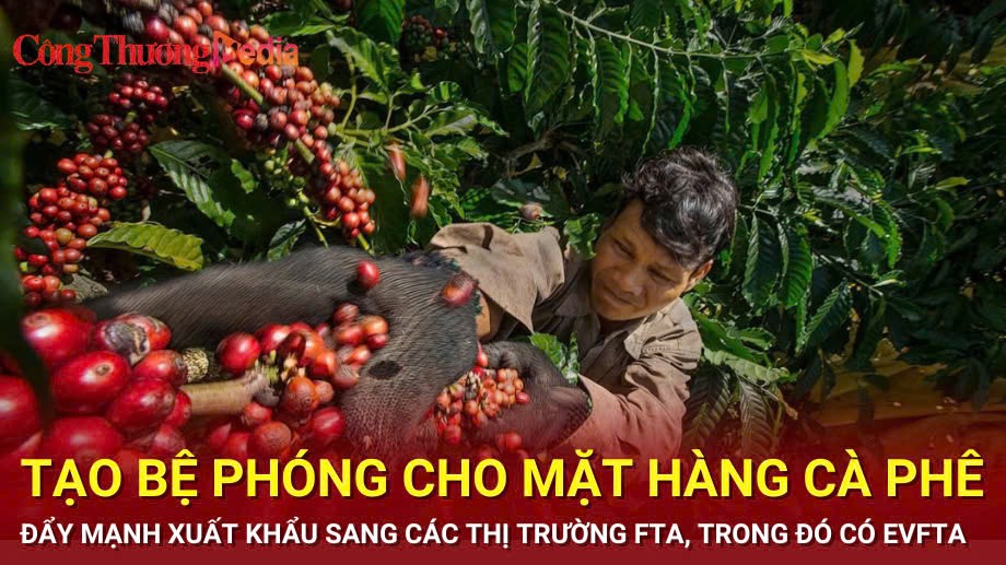 Tạo bệ phóng cho mặt hàng cà phê đẩy mạnh xuất khẩu sang các thị trường FTA, trong đó có EVFTA