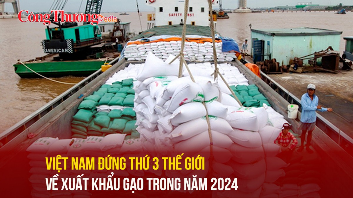 Việt Nam đứng thứ 3 thế giới về xuất khẩu gạo trong năm 2024