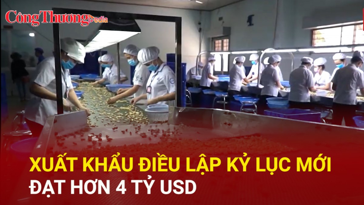 Xuất khẩu điều lập kỷ lục mới, đạt hơn 4 tỷ USD