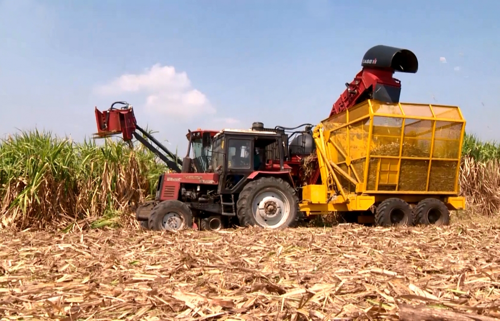 Doanh nghiệp mía đường sẵn sàng với “cuộc chơi” ATIGA